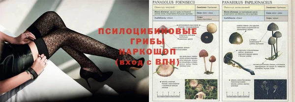 марихуана Бородино
