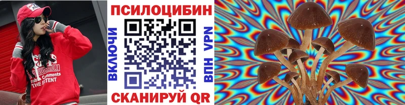 Купить  Нурлат  Псилоцибиновые грибы Psilocybine cubensis 